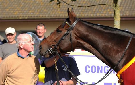 race horse commentary|thoroughbred racing commentary.